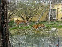 Tiergarten Schönbrunn am 23.03.2023